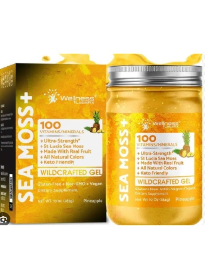 Irish Sea Moss Gel Organic Raw - Wildcrafted Superfood Seamoss Gel - Pineapple Flavor, Vitamin and Mineral-Rich from Pristine Caribbean Waters, Immune and Digestive Health Support - 10 oz.
