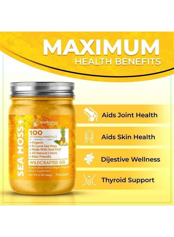 WELLNESS LABSRX Irish Sea Moss Gel Organic Raw - Wildcrafted Superfood Seamoss Gel - Pineapple Flavor, Vitamin and Mineral-Rich from Pristine Caribbean Waters, Immune and Digestive Health Support - 10 oz. - Image 5