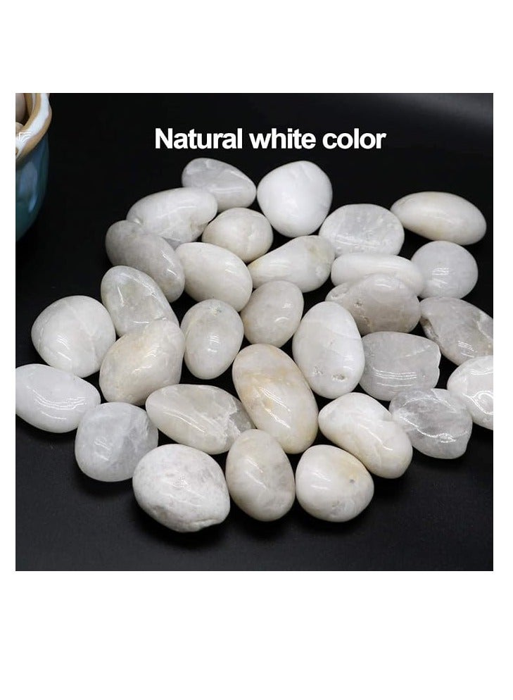 HOME ZONE White Pebbles Stones Large Natural Decorative Polished River Rocks Aquarium Gravel Premium Ornamental Pebbles Glossy Vase Fillers for Terrariums Fish Tank Plants and Gardens 2.2lbs 1 - 1.5 Size - Image 5