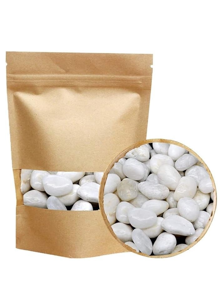 HOME ZONE White Pebbles Stones Large Natural Decorative Polished River Rocks Aquarium Gravel Premium Ornamental Pebbles Glossy Vase Fillers for Terrariums Fish Tank Plants and Gardens 2.2lbs 1 - 1.5 Size - Image 1
