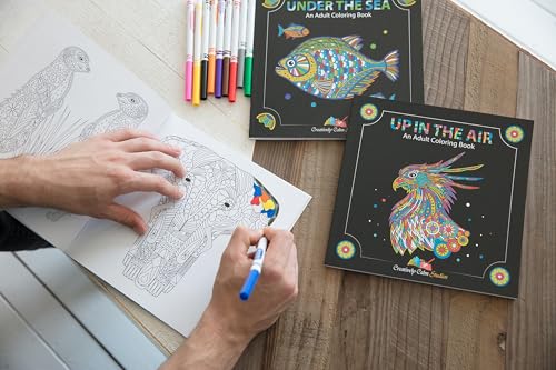 Creatively Calm Studios Adult Coloring Books Set.Three Books! Designs from The Sky, Land & Sea. Coloring Books for Adults Relaxation - Image 4
