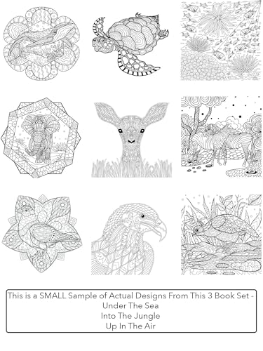Creatively Calm Studios Adult Coloring Books Set.Three Books! Designs from The Sky, Land & Sea. Coloring Books for Adults Relaxation - Image 5