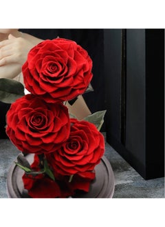 Vitacelli 3 Red Roses in Glass Dome Real Eternal Rose Preserved Flower with Luxury Gift Box  - Image 2