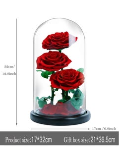 Vitacelli 3 Red Roses in Glass Dome Real Eternal Rose Preserved Flower with Luxury Gift Box  - Image 4