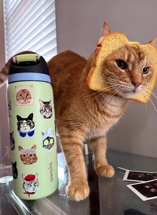 زجاجة ماء فري سيب المعزولة من الفولاذ المقاوم للصدأ مع ماصة للرياضة والسفر والمدرسة. زجاجة ماء رياضية خالية من مادة BPA. - view 4