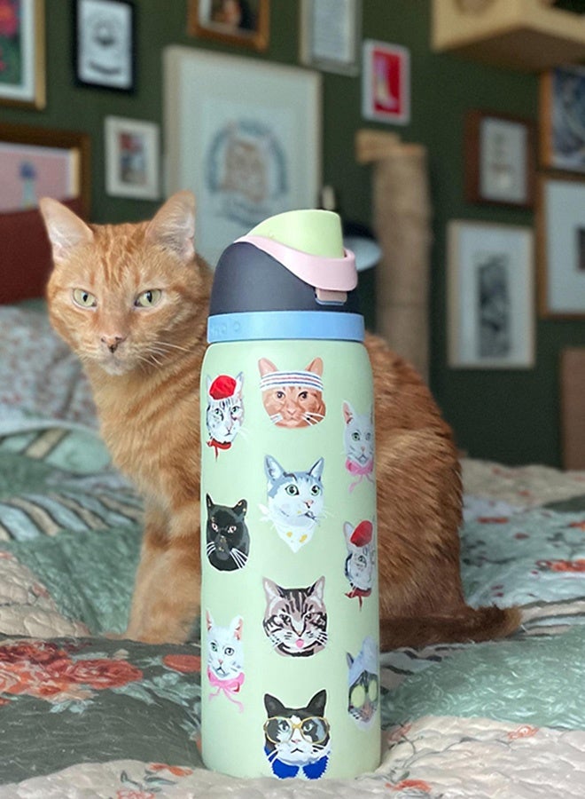 زجاجة ماء فري سيب المعزولة من الفولاذ المقاوم للصدأ مع ماصة للرياضة والسفر والمدرسة. زجاجة ماء رياضية خالية من مادة BPA. - view 5