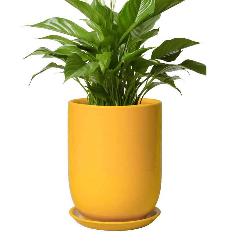 SUNPOTFOR Plant Pot 8 Inch - Ceramic Plant Pot with Drainage Hole and Saucer Large Planter for Indoor Plants Outdoor Modern Flower Pot for Home Garden Decor Yellow - Image 1