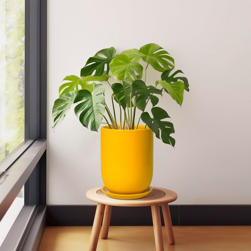 SUNPOTFOR Plant Pot 8 Inch - Ceramic Plant Pot with Drainage Hole and Saucer Large Planter for Indoor Plants Outdoor Modern Flower Pot for Home Garden Decor Yellow - Image 4