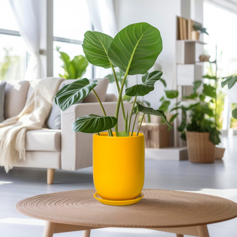 SUNPOTFOR Plant Pot 8 Inch - Ceramic Plant Pot with Drainage Hole and Saucer Large Planter for Indoor Plants Outdoor Modern Flower Pot for Home Garden Decor Yellow - Image 2