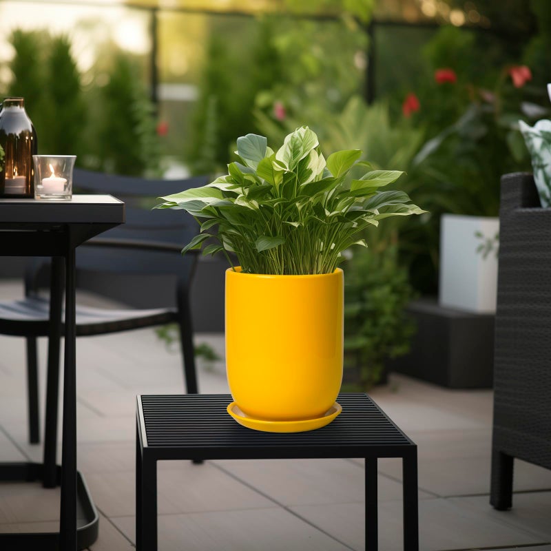 SUNPOTFOR Plant Pot 8 Inch - Ceramic Plant Pot with Drainage Hole and Saucer Large Planter for Indoor Plants Outdoor Modern Flower Pot for Home Garden Decor Yellow - Image 5