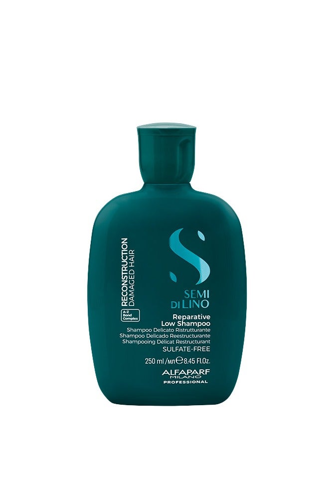 سيمي ديلينو شامبو خالى من السلفات بالبامبو وزيت بذر الكتان للشعر التالف 250مل