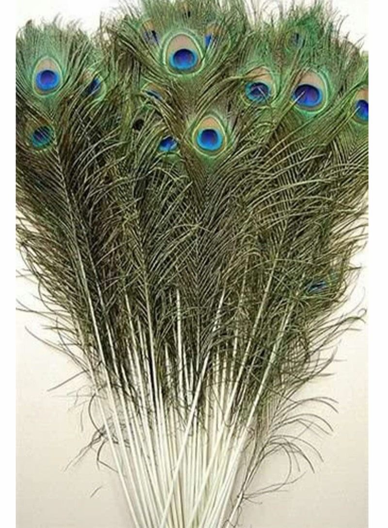 Natural Peacock Feathers 10 to 12-Inch Eyed Peacock Tail Feathers DIY Craft Decoration for Weddings Costumes – Set of 30 Peacock Feathers - Image 1