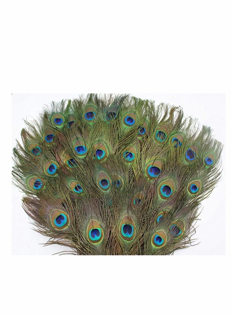 Natural Peacock Feathers 10 to 12-Inch Eyed Peacock Tail Feathers DIY Craft Decoration for Weddings Costumes – Set of 30 Peacock Feathers - Image 5