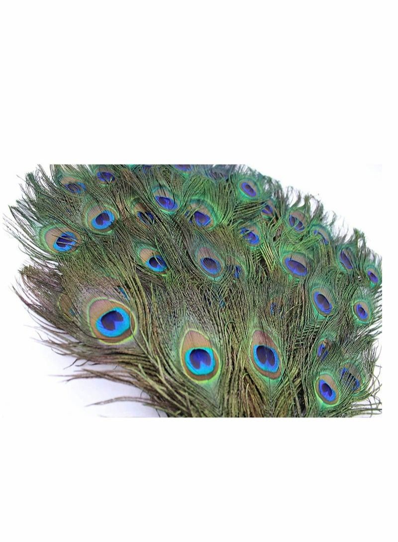 Natural Peacock Feathers 10 to 12-Inch Eyed Peacock Tail Feathers DIY Craft Decoration for Weddings Costumes – Set of 30 Peacock Feathers - Image 4