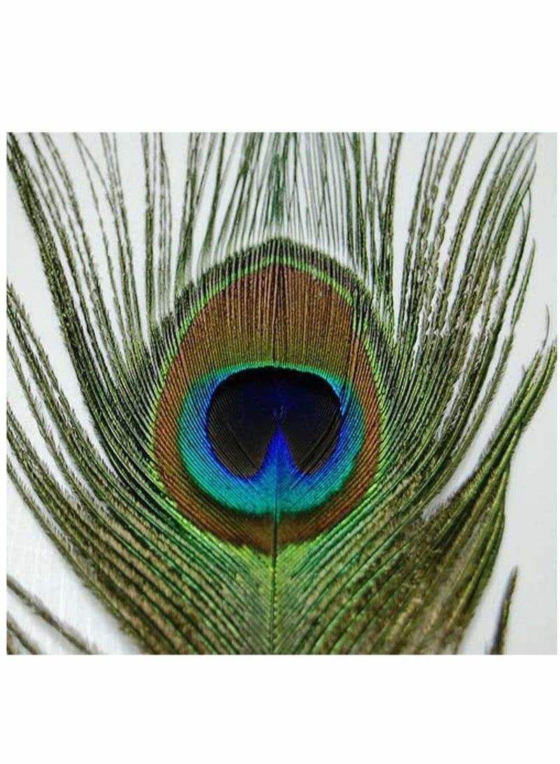 Natural Peacock Feathers 10 to 12-Inch Eyed Peacock Tail Feathers DIY Craft Decoration for Weddings Costumes – Set of 30 Peacock Feathers - Image 3