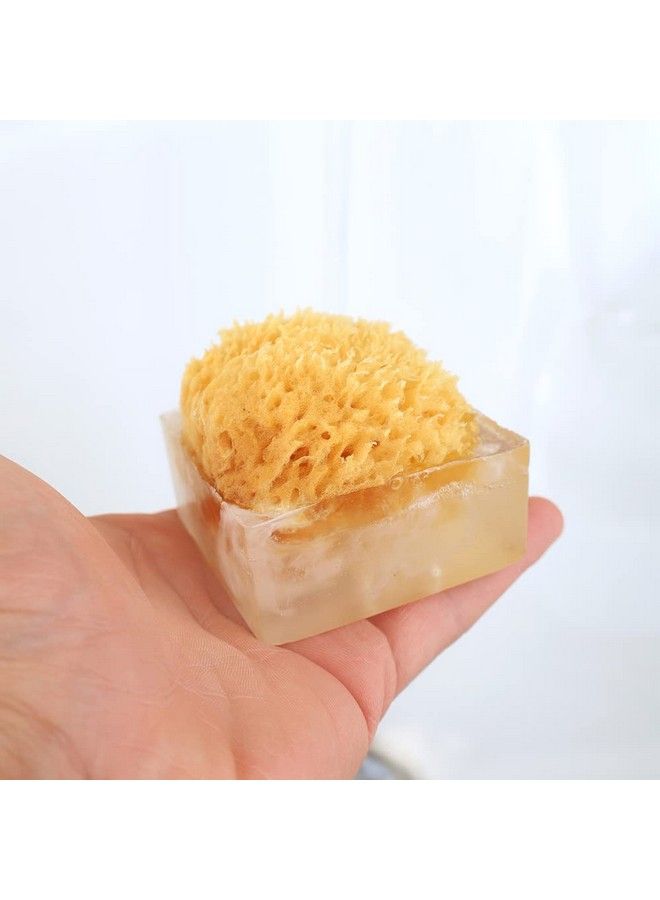 Primal Elements Sugar Rush Spongebar Soap (Pack Of 2) - Image 4