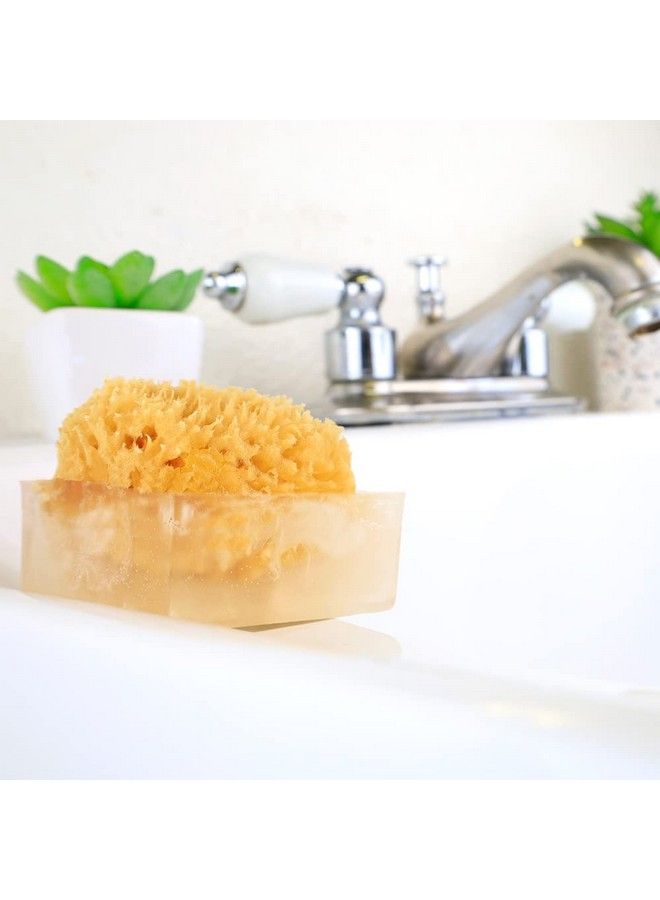 Primal Elements Sugar Rush Spongebar Soap (Pack Of 2) - Image 5