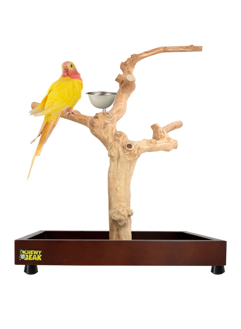 CHEWY BEAK Bird Stand Table Top Natural wooden Parrot Play Stand Indonesian Java wood Tree Perches with Stainless steel feeder small size - Image 1