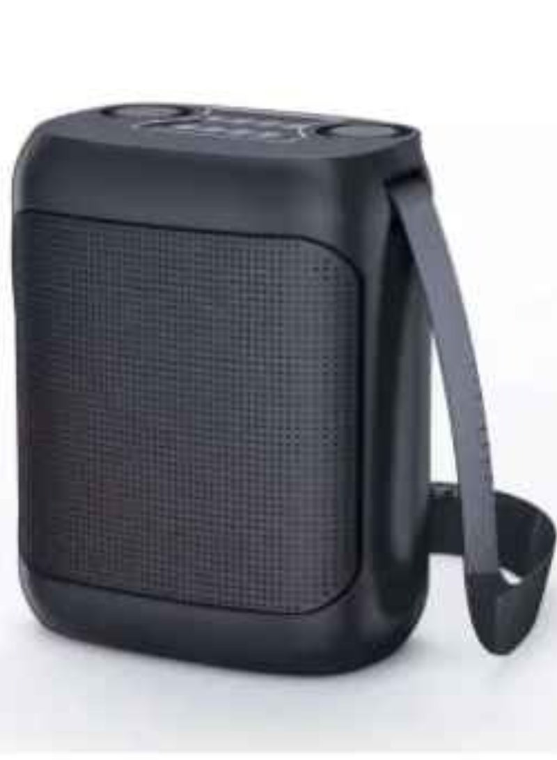 YS مكبر صوت محمول خارجي لاسلكي مع حزام وميكروفون مزدوج UHF - Image 1