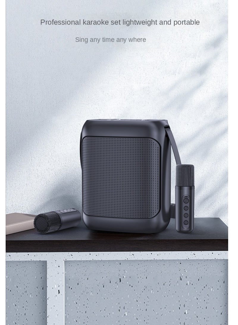 YS مكبر صوت محمول خارجي لاسلكي مع حزام وميكروفون مزدوج UHF - Image 3