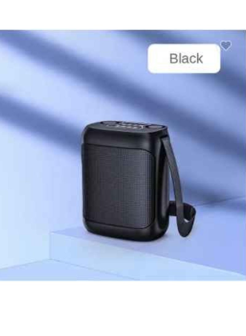 YS مكبر صوت محمول خارجي لاسلكي مع حزام وميكروفون مزدوج UHF - Image 2