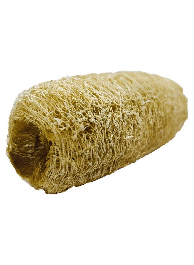 Natural Shower Luffa Sponge Body Scrubber | Luffa (Peerkangai) Bath scrub is Body Cleansing Removing Dead Skin Cells - Skin Care in Bath Spa Shower By SNKM (Pack of 5) - Image 3