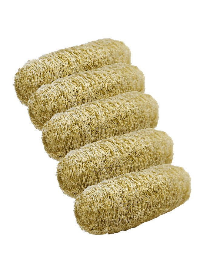 Natural Shower Luffa Sponge Body Scrubber | Luffa (Peerkangai) Bath scrub is Body Cleansing Removing Dead Skin Cells - Skin Care in Bath Spa Shower By SNKM (Pack of 5) - Image 1