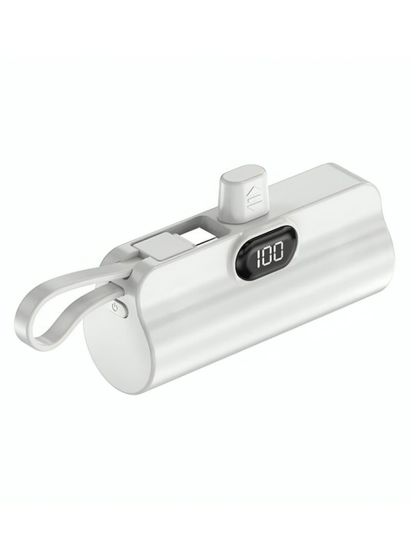 Denx A small iPhone Lightning power bank with a capacity of 5000 mAh from Dinex - Image 1