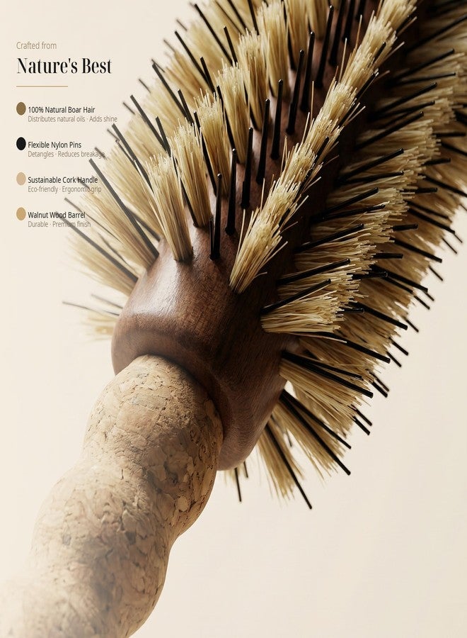 TRENFI Boar Bristle Round Brush 2.5 Inch Double Locked - Image 3