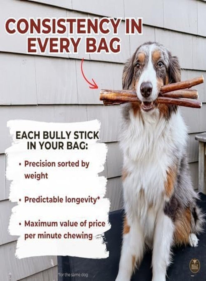 Bully Bunches Premium (12" Standard - 5 Pack) Odor Free Bully Sticks for Small & Medium Dogs - Consistently Sized, Long Lasting Chews for Oral Care - All Natural Beef Dog Treats - Image 2