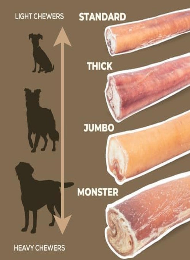 Bully Bunches Premium (12" Standard - 5 Pack) Odor Free Bully Sticks for Small & Medium Dogs - Consistently Sized, Long Lasting Chews for Oral Care - All Natural Beef Dog Treats - Image 3