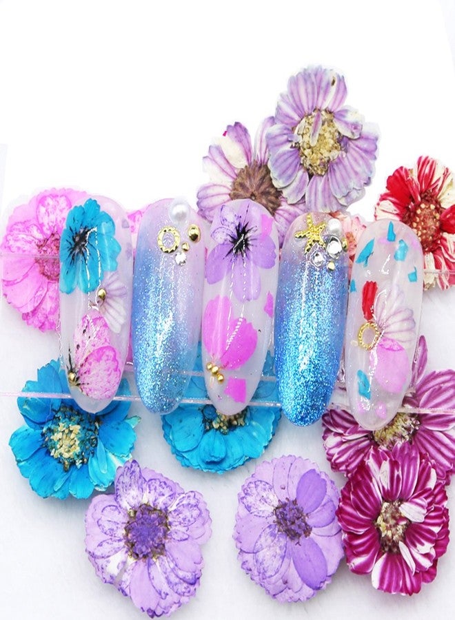 Minejin Nail Art True Dried Flower 3D DIY Real Flower Decoration 6 Colors - Image 3