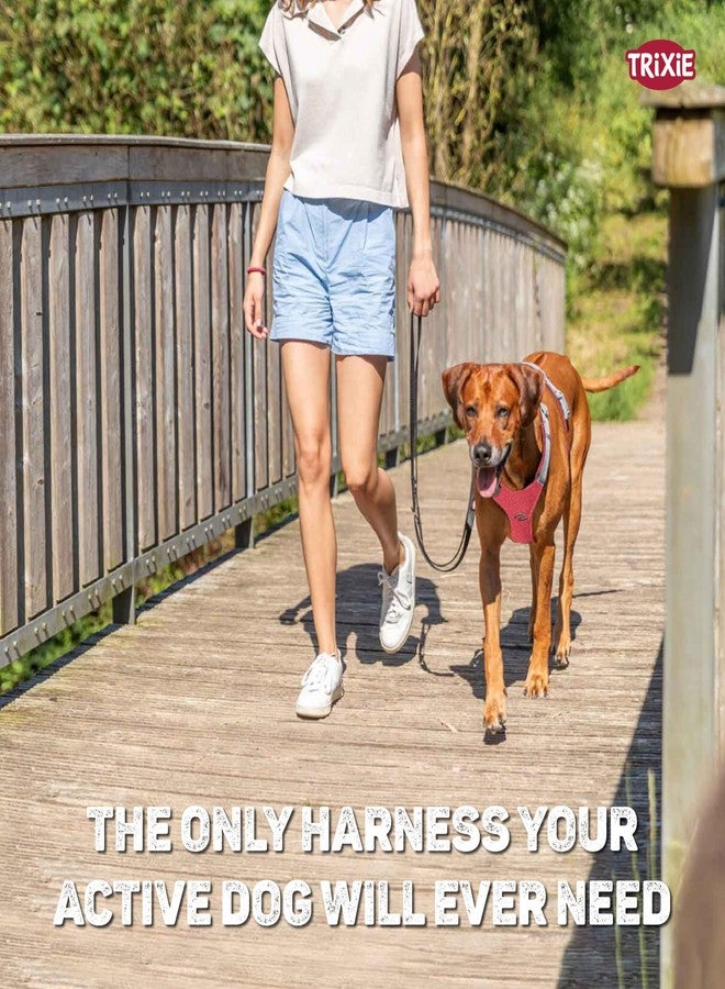 تريكسي سرج تريكسي ثلاثي النقاط للكلاب مع حواف عاكسة ومقبض مدمج، سرج رياضي فاخر، مريح، تصميم آمن ومتين، مقاس XS-S (30-40 سم)، أحمر - Image 2