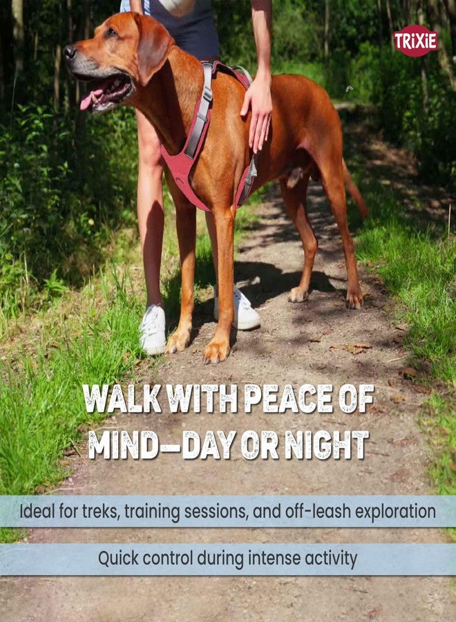 تريكسي سرج تريكسي ثلاثي النقاط للكلاب مع حواف عاكسة ومقبض مدمج، سرج رياضي فاخر، مريح، تصميم آمن ومتين، مقاس XS-S (30-40 سم)، أحمر - Image 4