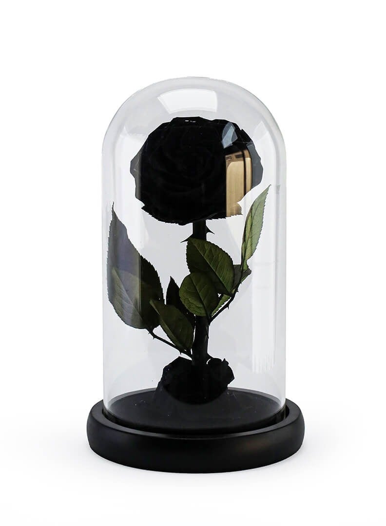 Si Bonne Preserved Forever Black Rose in Luxury Glass Dome 12*19 - Eternal Flower Gift for Women's Day, Valentine's Day, Wedding Anniversary, and Birthday - Image 1