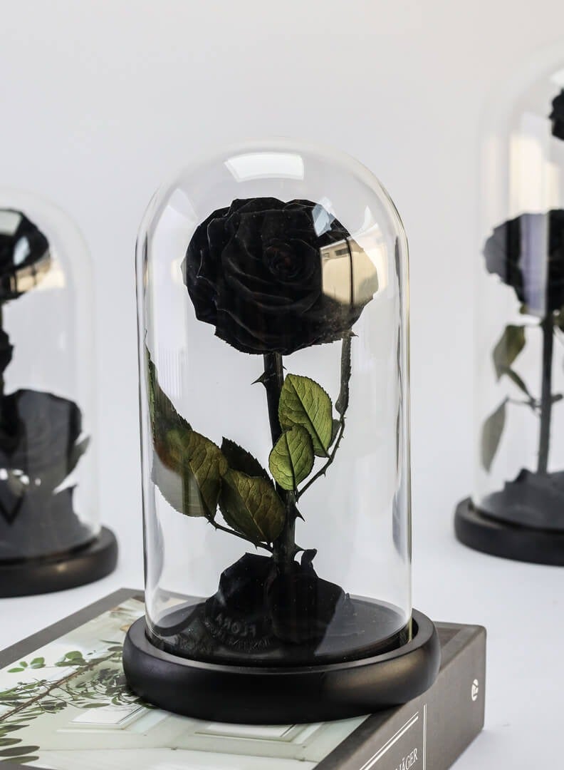 Si Bonne Preserved Forever Black Rose in Luxury Glass Dome 12*19 - Eternal Flower Gift for Women's Day, Valentine's Day, Wedding Anniversary, and Birthday - Image 2
