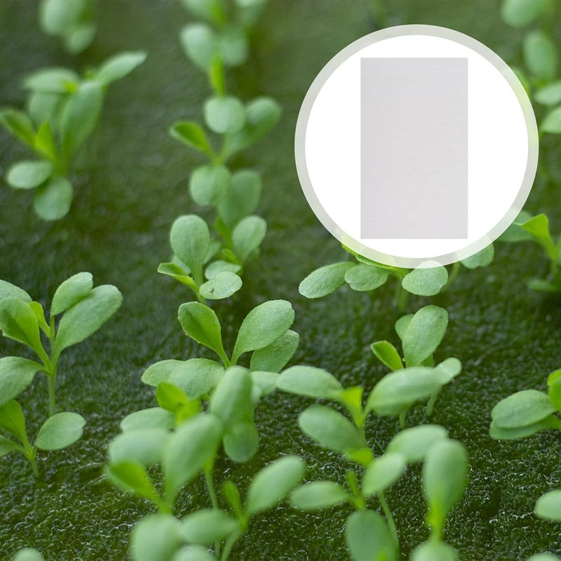 woobles Vegetable Planting Paper Wheat Grower Paper 150PCS Germinating Growing Paper Sprouter Vegetable Microgreens Planting Paper for Plant Germination Tray Nursery Paper Wheatgrass Paper - Image 4