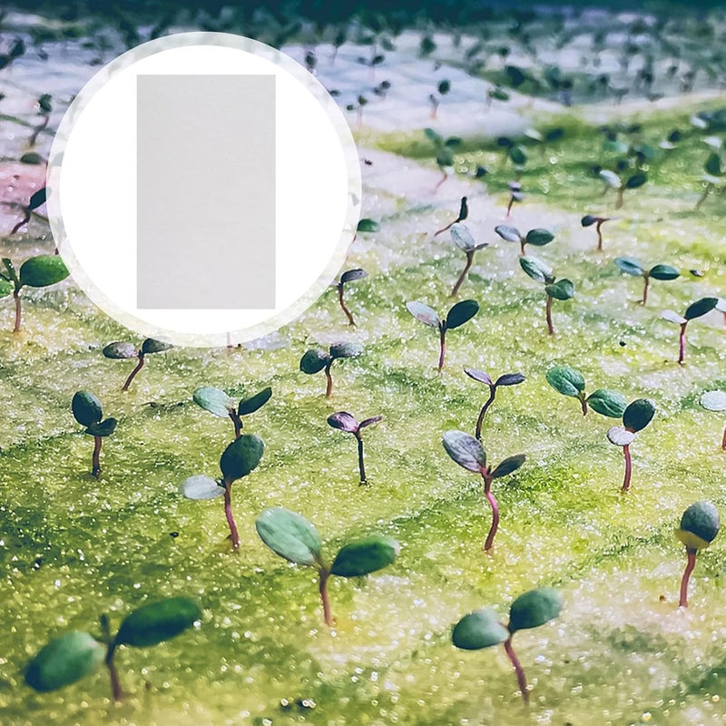 woobles Vegetable Planting Paper Wheat Grower Paper 150PCS Germinating Growing Paper Sprouter Vegetable Microgreens Planting Paper for Plant Germination Tray Nursery Paper Wheatgrass Paper - Image 5