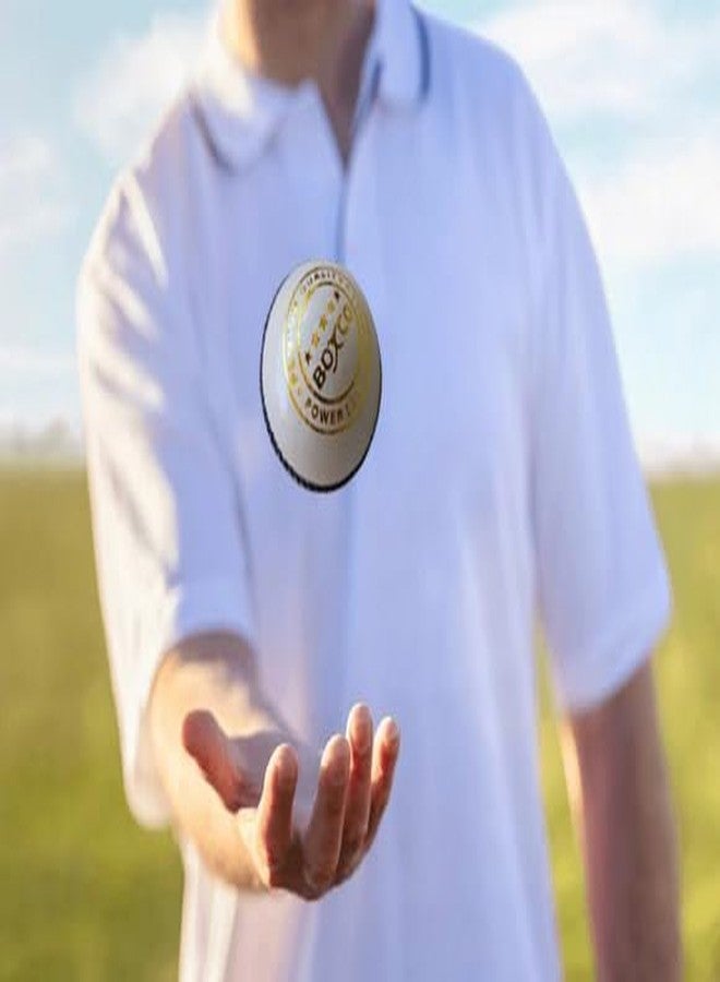 كرة كريكيت جلدية من أربع قطع مخيطة يدويًا من BOXCO Power، مناسبة للأندية ومباريات T20 ومباريات اليوم الواحد (عبوة من 6 كرات) (أبيض) - Image 2