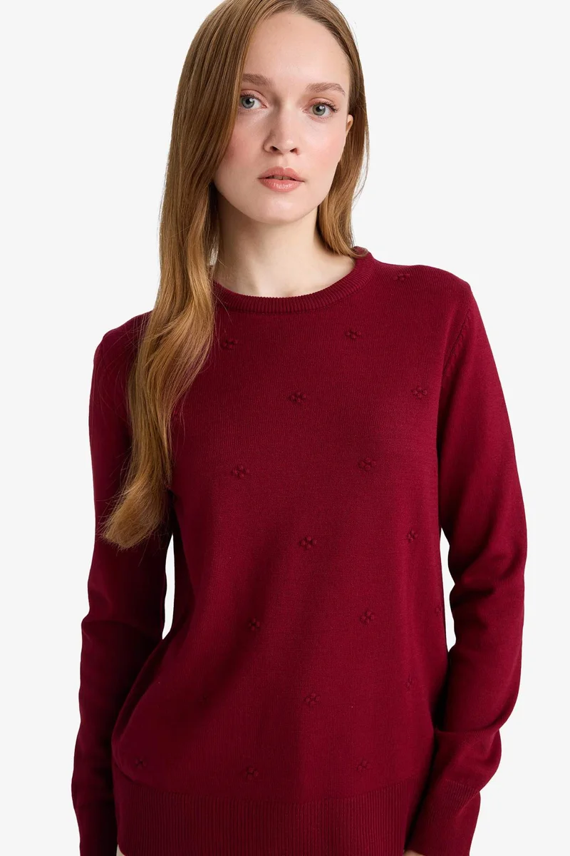 ديفاكتو Regular Fit Crew Neck Knitwear Pullover