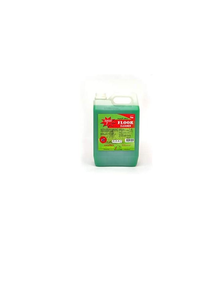 Floor Cleaner Pine Liquid Green - 5L - Image 2