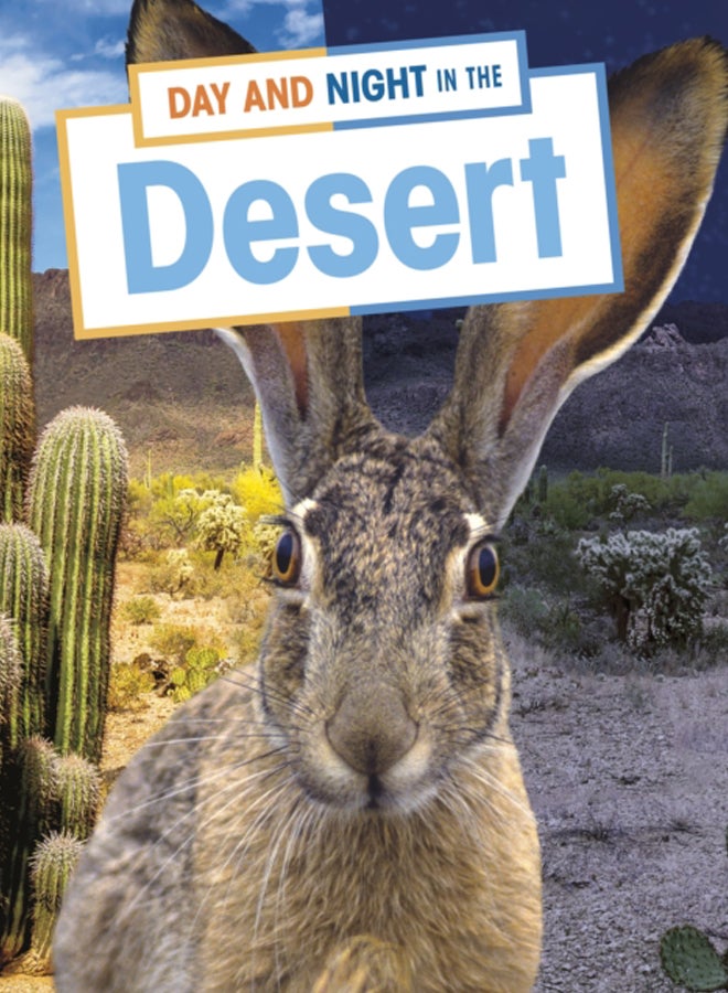 Day and Night in the Desert
