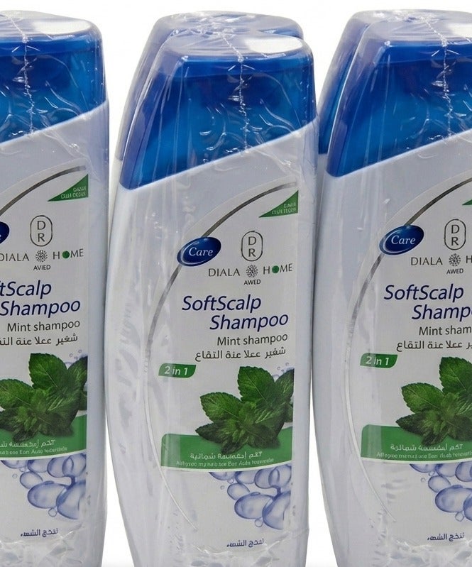 Economical shampoo with refreshing mint extract. "(1 in 3) Offer: 600ml of quality and freshness in every bottle. Greater savings... Long-lasting freshness." - Image 1
