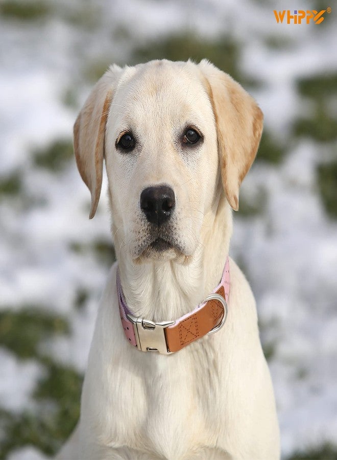 WHIPPY Dog Collar Metal Buckle Adjustable Cute Pink Dot Collars for Large Medium Small Boys Girls Dogs - Image 2