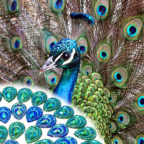 DZS Elec 50pcs Birdseye Water Drop Blue and Green Double Color Edge Flat Bottom Resin Peacock Feather Rhinestones Beads for Sewing DIY Crafts Accessories - Image 3