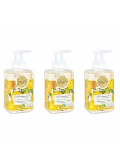 Michel Design Works Foaming Hand Soap, 17.80-Fluid Ounce, Lemon Basil - 3-PACK  - Image 1