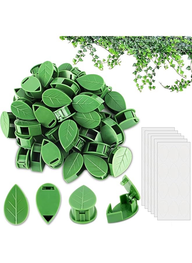 Plant Climbing Clips 50Pcs Green 3X2X1Cm - pzsku/ZCA9F18C349FF156F2413Z/45/_/1740916881/183ede0f-1827-4c0a-ac38-6dfc4b8ad71f