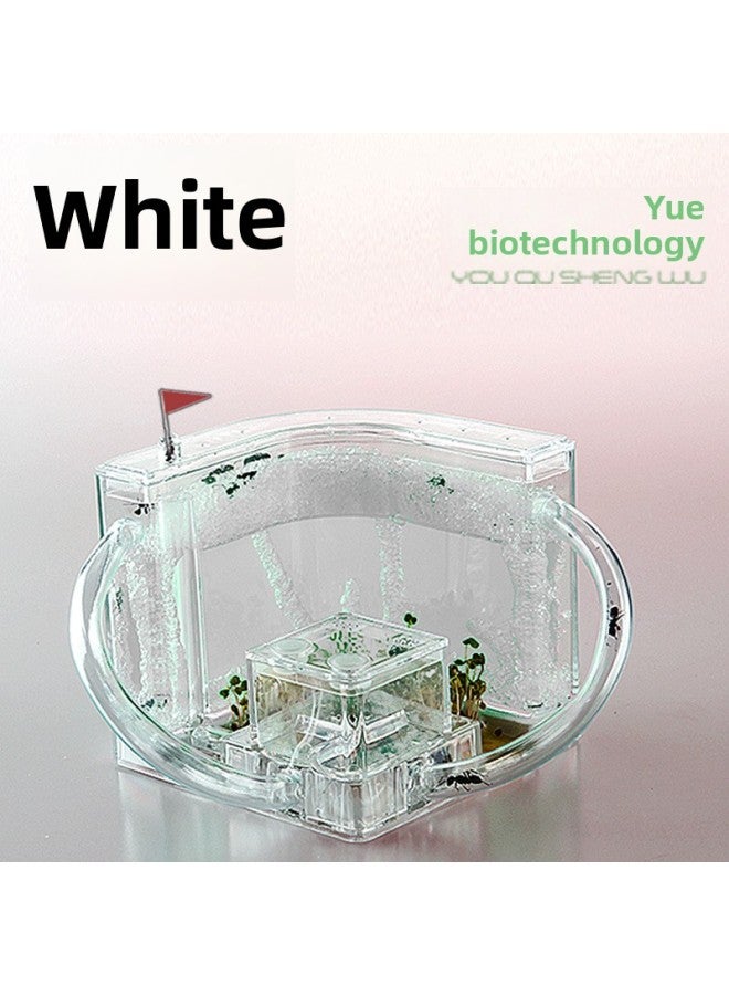 Funny Creature Ant Workshop Ant Villa Home Castle Children's Educational Toys Children's Toys Scientific Toys-Color:White.  - Image 1