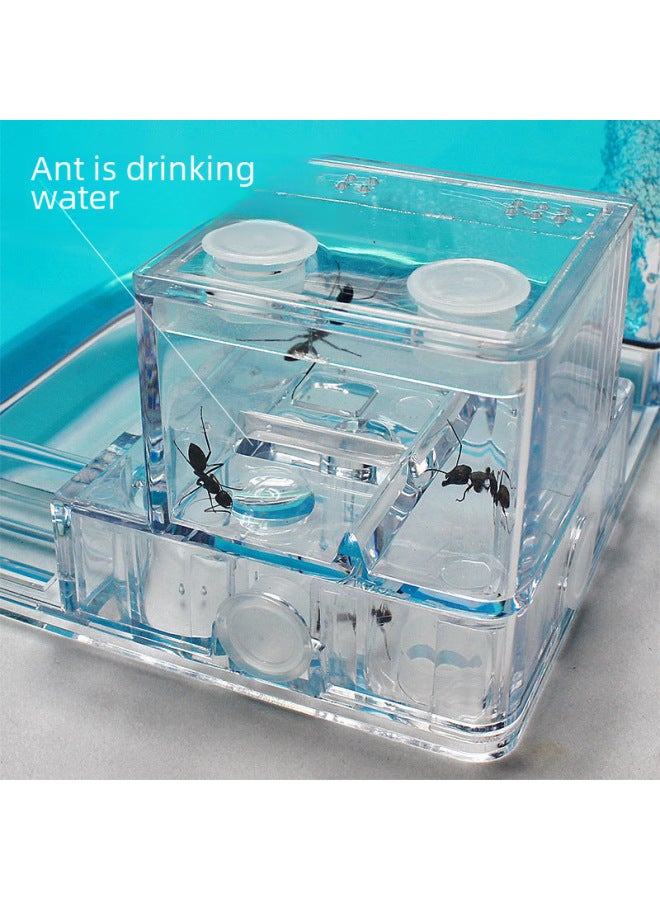Funny Creature Ant Workshop Ant Villa Home Castle Children's Educational Toys Children's Toys Scientific Toys-Color:White.  - Image 5