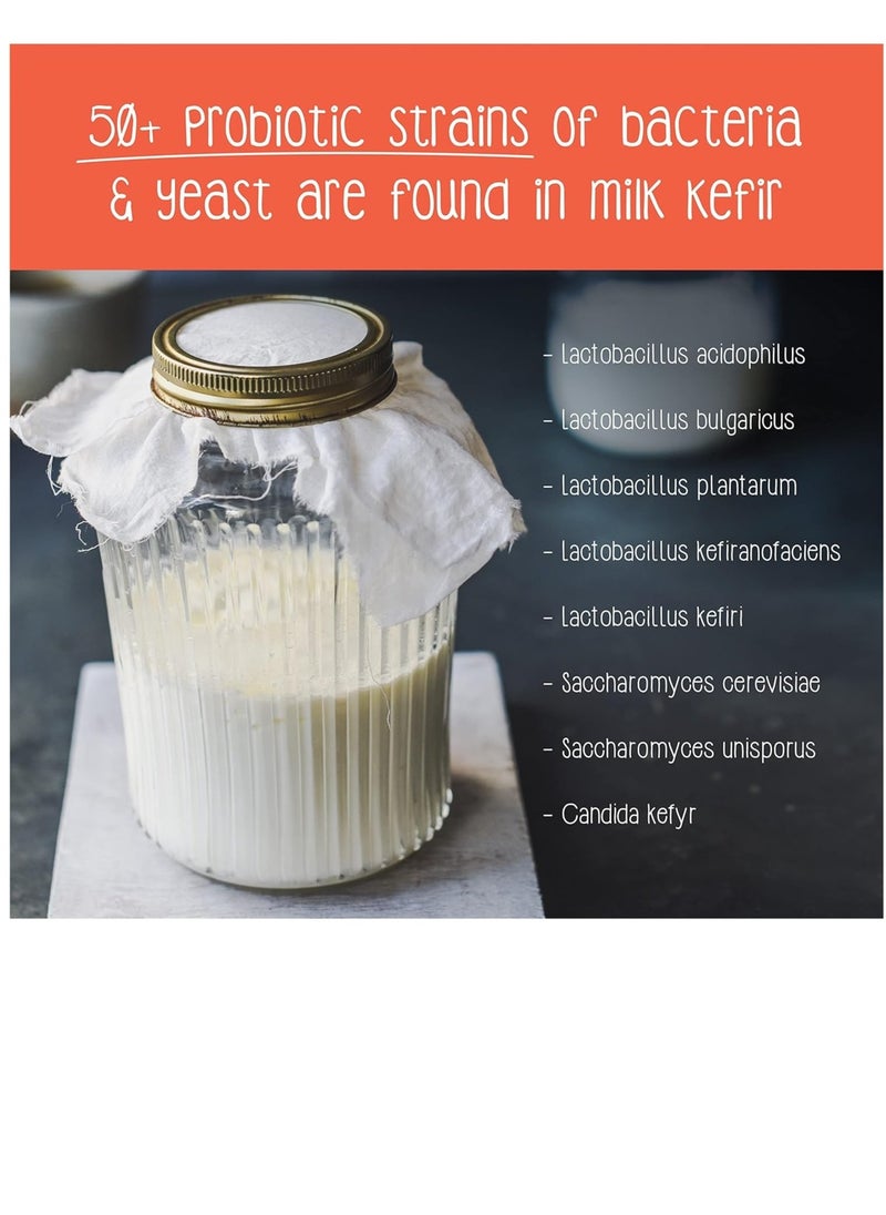 cultures to love - Easy to-use kefir   perfect for newcomers  No feeding of kefir grain  continuous sieving or complicated maintenance is required  Start your kefir journey effortlessly - Image 1